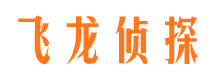 琼山市私家侦探